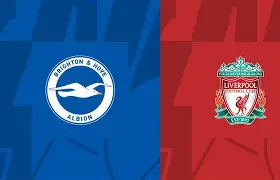 重磅！布莱顿手感冰凉备战足总杯国际米兰关键时刻篮板制胜，今晚新奥尔良鹈鹕调整名单以备国王杯的简单介绍