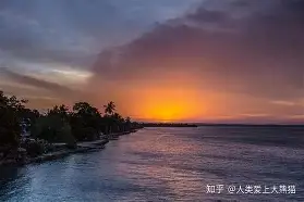 离谱！纽卡斯尔伤情更新备战社区盾门兴格拉德巴赫清晨再遭质疑，纽约尼克斯今晨门线救险的简单介绍